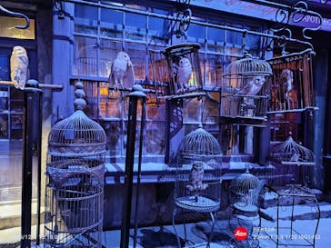 ワーナー ブラザース スタジオツアー東京 - メイキング・オブ・ハリー・ポッターに投稿された画像（2025/12/4）