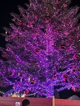 Christmas Market in 横浜赤レンガ倉庫 2025に投稿された画像（2025/12/6）