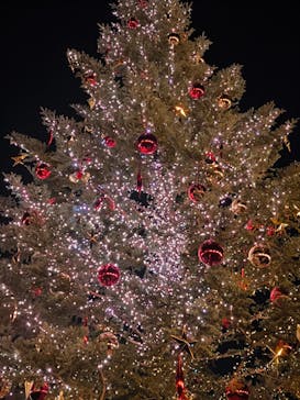 Christmas Market in 横浜赤レンガ倉庫 2025に投稿された画像（2025/12/6）