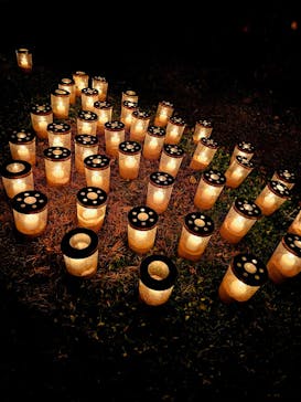 世羅高原農場に投稿された画像（2025/12/6）