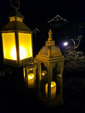 世羅高原農場に投稿された画像（2025/12/6）