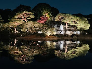 六義園に投稿された画像（2025/12/6）