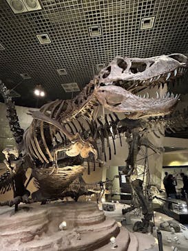 国立科学博物館に投稿された画像（2025/12/6）