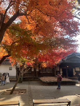 江戸東京たてもの園に投稿された画像（2025/12/6）
