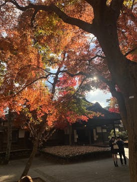 江戸東京たてもの園に投稿された画像（2025/12/6）