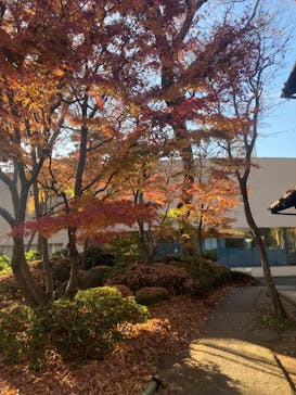 江戸東京たてもの園に投稿された画像（2025/12/6）