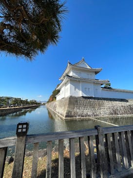 元離宮二条城に投稿された画像（2025/12/6）