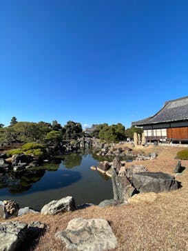 元離宮二条城に投稿された画像（2025/12/6）