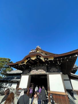 元離宮二条城に投稿された画像（2025/12/6）