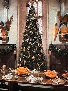 ワーナー ブラザース スタジオツアー東京 - メイキング・オブ・ハリー・ポッターに投稿された画像（2025/12/6）