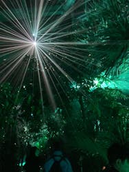 京都府立植物園　LIGHT CYCLES KYOTOに投稿された画像（2025/12/6）