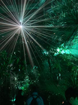 京都府立植物園　LIGHT CYCLES KYOTOに投稿された画像（2025/12/6）