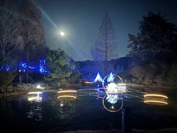 KYOTO ILLUMINATION SYNESTHESIA HILLS るり渓温泉に投稿された画像（2025/12/7）