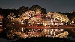 六義園に投稿された画像（2025/12/7）