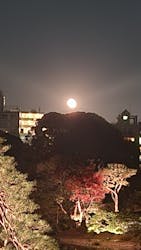 六義園に投稿された画像（2025/12/7）
