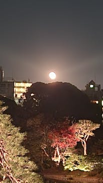 六義園に投稿された画像（2025/12/7）