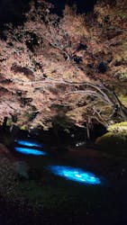 六義園に投稿された画像（2025/12/7）