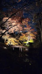 六義園に投稿された画像（2025/12/7）