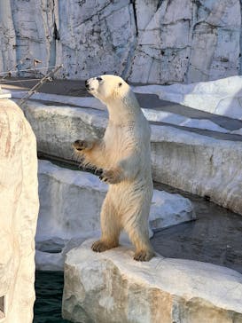 恩賜上野動物園に投稿された画像（2025/12/7）