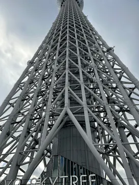東京スカイツリーに投稿された画像（2025/12/7）