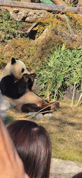 恩賜上野動物園に投稿された画像（2025/12/7）