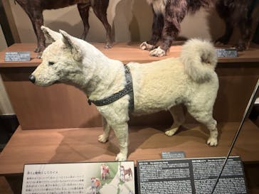 国立科学博物館に投稿された画像（2025/12/7）