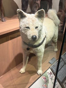 国立科学博物館に投稿された画像（2025/12/7）