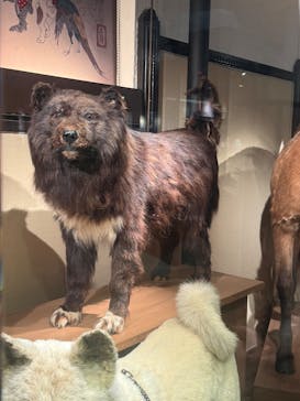 国立科学博物館に投稿された画像（2025/12/7）