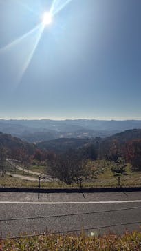 マザー牧場に投稿された画像（2025/12/7）