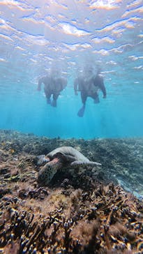 nico 宮古島に投稿された画像（2025/12/7）