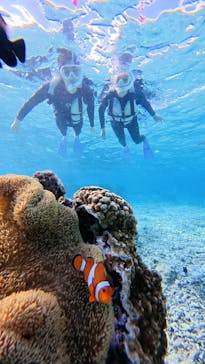 nico 宮古島に投稿された画像（2025/12/7）