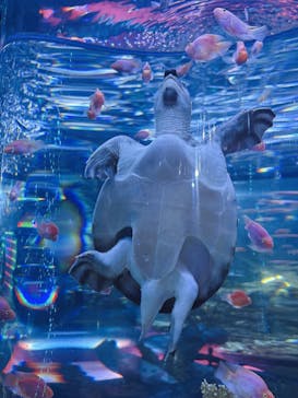 ひらかたパークに投稿された画像（2025/12/7）