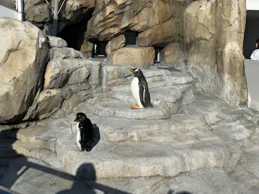 仙台うみの杜水族館に投稿された画像（2025/12/7）