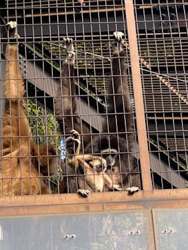 恩賜上野動物園に投稿された画像（2025/12/7）
