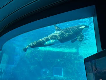 名古屋港水族館に投稿された画像（2025/12/7）