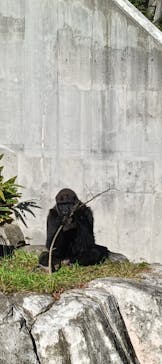 千葉市動物公園に投稿された画像（2025/12/7）