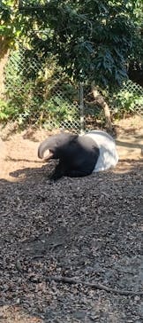 千葉市動物公園に投稿された画像（2025/12/7）