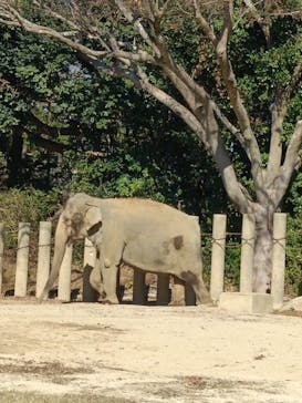 千葉市動物公園に投稿された画像（2025/12/7）