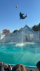 しながわ水族館に投稿された画像（2025/12/7）