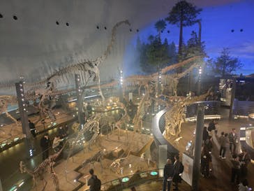 福井県立恐竜博物館に投稿された画像（2025/12/7）