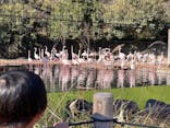 多摩動物公園に投稿された画像（2025/12/7）