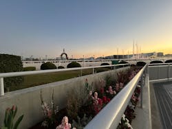 東京メガイルミに投稿された画像（2025/12/7）