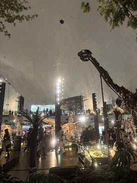 福井県立恐竜博物館に投稿された画像（2025/12/7）