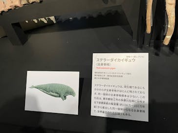 恩賜上野動物園に投稿された画像（2025/12/7）