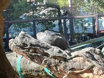 恩賜上野動物園に投稿された画像（2025/12/7）