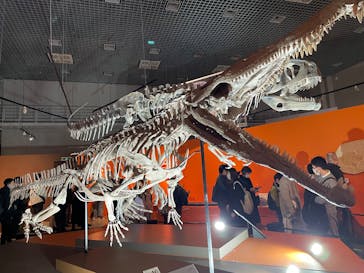 特別展「大絶滅展―生命史のビッグファイブ」に投稿された画像（2025/12/7）