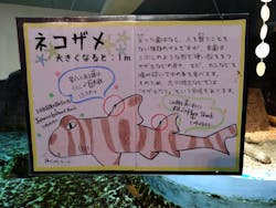 あわしまマリンパークに投稿された画像（2025/12/7）