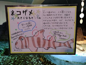 あわしまマリンパークに投稿された画像（2025/12/7）