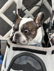 土肥金山に投稿された画像（2025/12/7）