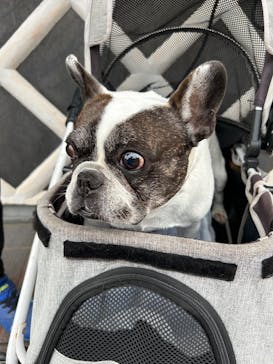 土肥金山に投稿された画像（2025/12/7）